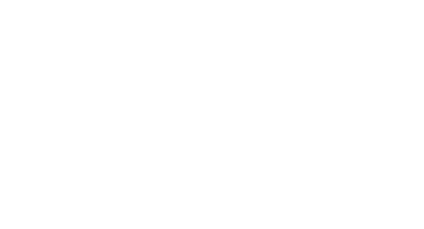 Logo Nano System - Assistência em alta performance