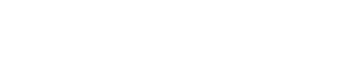 Logo Nano System